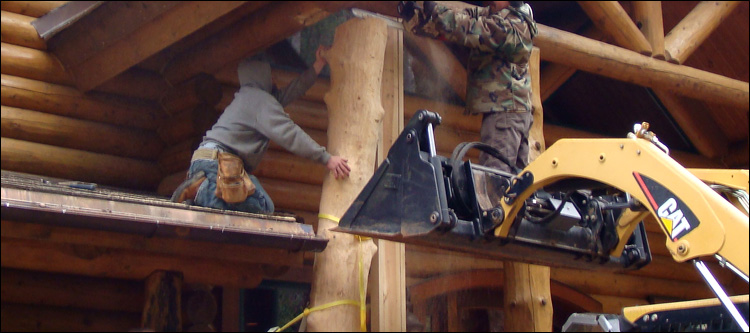 Log Home Log Replacement  Prince George County, Virginia